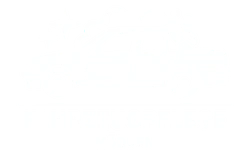 Fahrzeugpflege-mödden-logo (3)